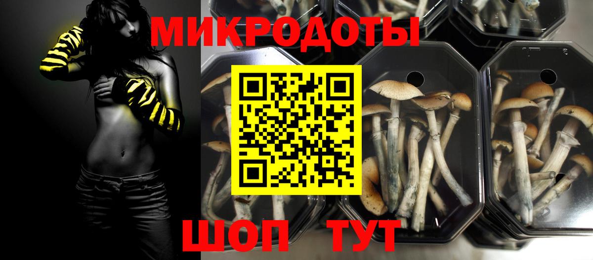 Псилоцибиновые грибы Psilocybe  Вход с VPN  Псилоцибиновые грибы MAGIC MUSHROOMS  Вологда 