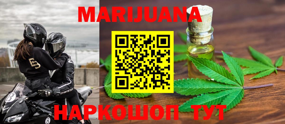 Конопля гибрид Вологда